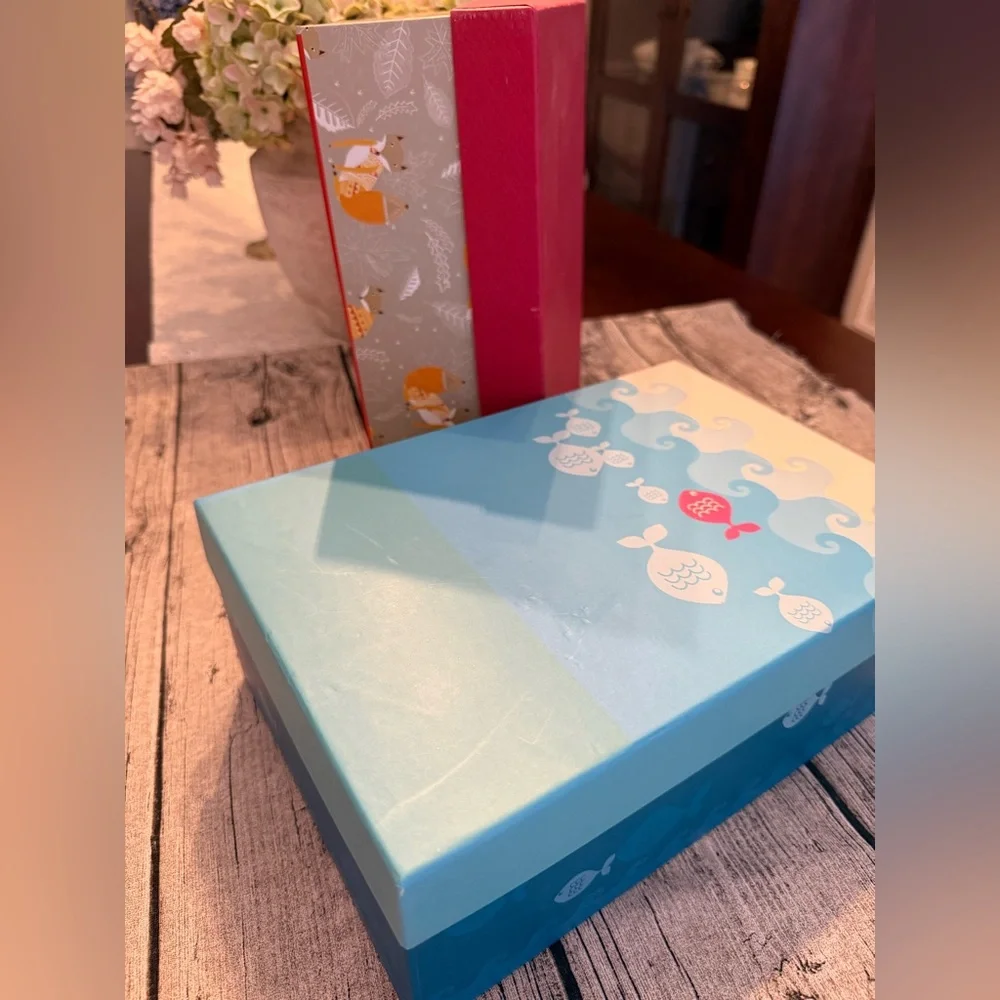 Set of 2 decorative storage boxes. Super cute!